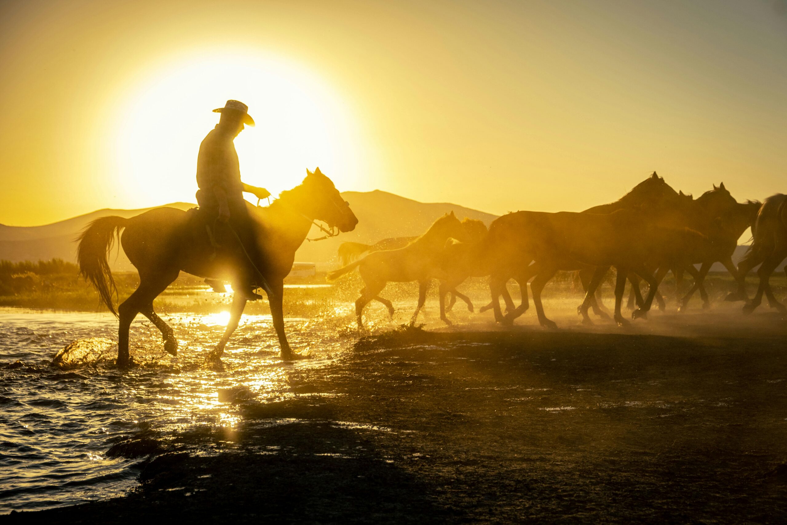 Can You Get a DWI on a Horse in Texas? Surprising Legal Facts