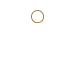 Criminal Defense Icon